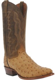 Dan Post Men DP3077 Ostrich Boots